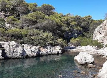 spain/palma-de-mallorca/attraction/platja-de-cala-figuera