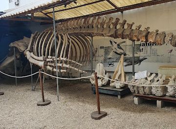 ecuador/santa-elena-region/attraction/el-museo-de-ballenas