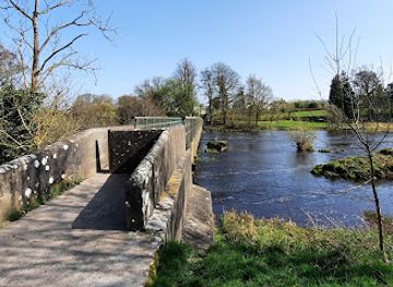 ireland/county-limerick/attraction/fairy-woods