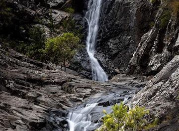 australia/brisbane/attraction/cedar-creek-falls-rd