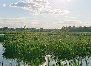sweden/orebro/attraction/rynningeviken