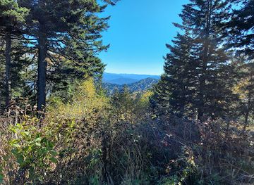 north-carolina/great-smoky-mountains/attraction/gap-overlook