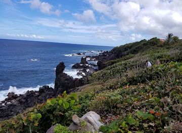 saint-lucia/anse-mamin/attraction/lushan-country-life