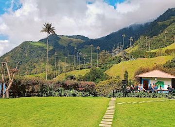 colombia/cocora-valley/attraction/parador-fotografico-la-vida-bella