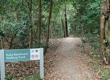 australia/northern-rivers/attraction/iluka-rainforest-walking-track