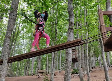 italy/lunigiana/attraction/adventure-park-doganaccia-2000