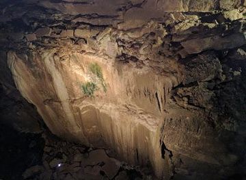 ireland/salthill/attraction/aillwee-burren-experience