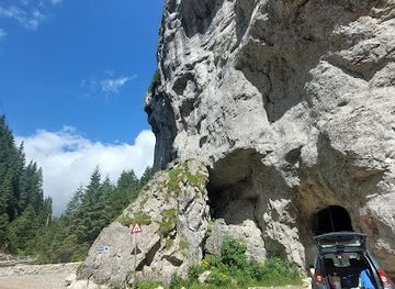 romania/dambovita/attraction/grota-ursului