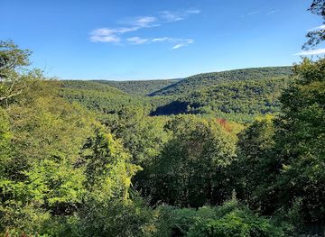 pennsylvania/bald-eagle-state-park/attraction/mccalls-dam-state-park