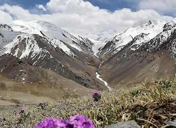 pakistan/hunza-valley/attraction/khunjerab-national-park