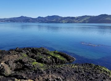 new-zealand/otago/attraction/te-umukuri-wellers-rock