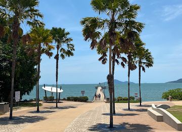 australia/hinchinbrook-island/attraction/cardwell-copper-flame-tree