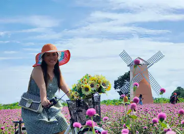 Sunflower Farm