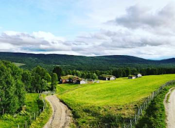 norway/roros/attraction/seterveien-as