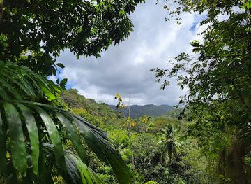 saint-lucia/malgretoute/attraction/treetop-adventure-park
