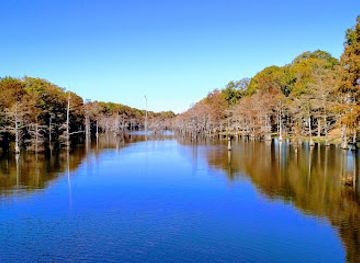 louisiana/monroe/attraction/black-bayou-lake-national-wildlife-refuge-visitor-center