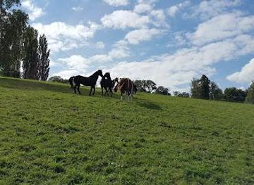 france/annecy/attraction/parc-de-buisson-rond