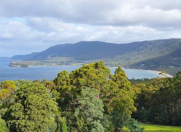 australia/tasmania/attraction/tessellated-pavement