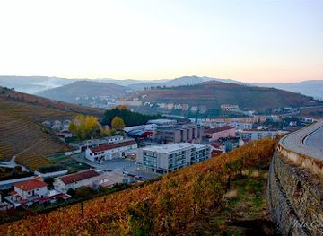portugal/serra-do-marao/attraction/caves-santa-marta-vinhos-e-derivados-crl