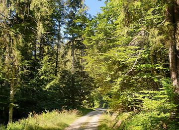 romania/poiana-brasov/attraction/poiana-nisipului