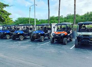 aruba/palm-beach/attraction/jean-s-rentals-aruba