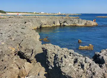 Riserva Naturale Orientata Regionale Palude del Conte e Duna Costiera - Bosco dell'Arneo