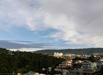 india/northeast-india/attraction/wankhar-entomology-museum