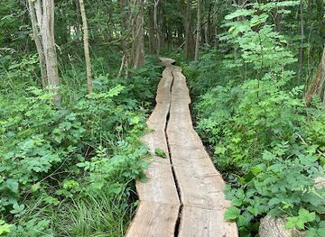 denmark/roskilde/attraction/rormosen-sti