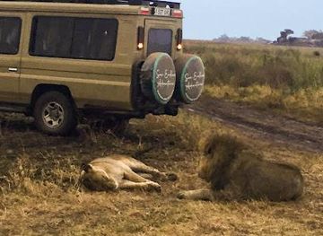 tanzania/arusha/attraction/see-endless-adventures