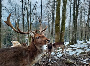 croatia/banovina/attraction/zoo