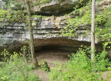kentucky/mammoth-cave-national-park/attraction/turnhole-bend-nature-trailhead
