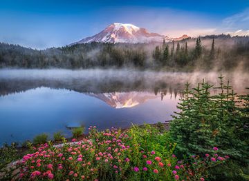 washington/mount-rainier-national-park/attraction/mount-rainier