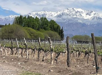 argentina/cuyo/attraction/bodega-alfa-crux