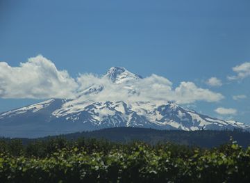 Mt. Hood summit