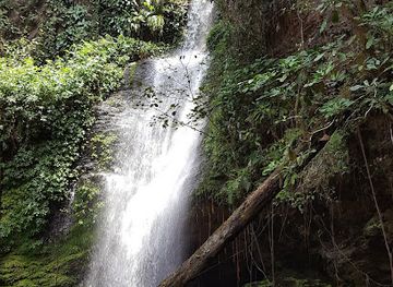 ghana/wli-waterfalls/attraction/hiking-trail