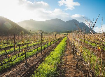 south-africa/cape-winelands/attraction/muratie-wine-estate