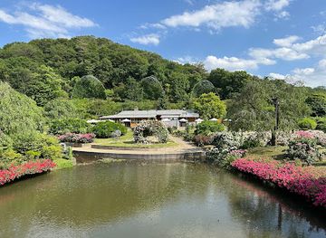 japan/kanto/attraction/ashikaga-flower-park