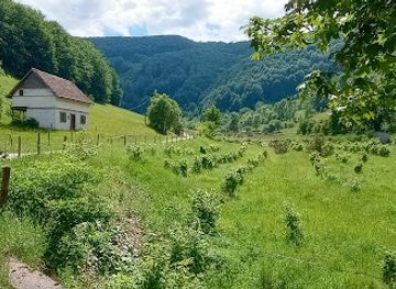 romania/apuseni-mountains/attraction/cheile-vaii-morilor