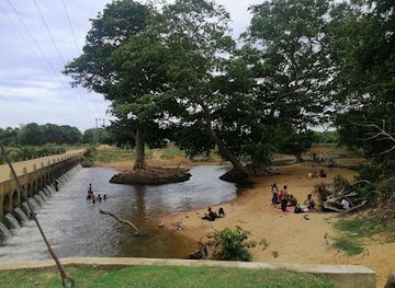 sri-lanka/ampara-district/attraction/pondukalchenai-bridge