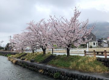 japan/yamanashi/attraction/sakura-onsen-street