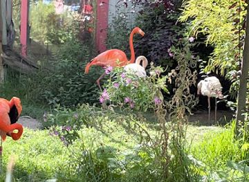 sweden/sodermanland/attraction/south-american-area