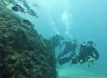 cabo-verde/santa-maria/attraction/eco-dive-school-cabo-verde