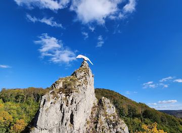 germany/harz-national-park/attraction/weltwald-bad-grund