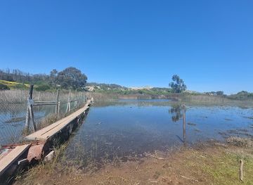 chile/valparaiso-region/attraction/humedal-de-mantagua