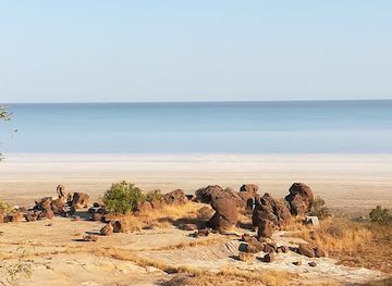 india/rann-of-kutch/attraction/kutchch-fossil-park