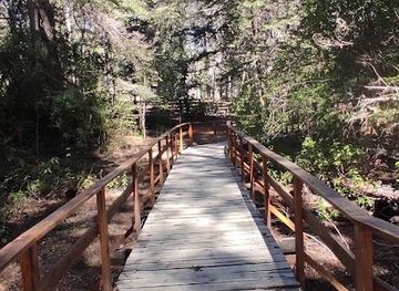 argentina/villa-la-angostura/attraction/area-natural-protegida-selva-triste