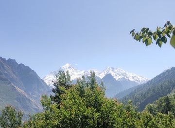 india/valley-of-flowers-national-park/attraction/dronagiri-view-point