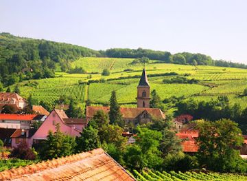 france/alsace-wine-route/attraction/domaine-jean-sipp