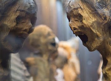 mexico/central-mexico/attraction/museum-of-the-mummies-of-guanajuato