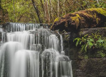 australia/mount-field-national-park/attraction/strickland-falls